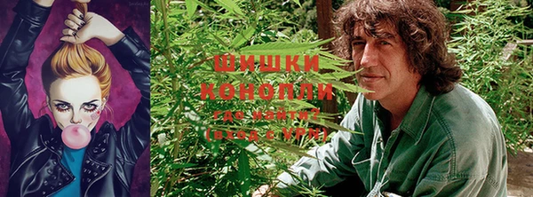 MDMA Premium VHQ Карпинск