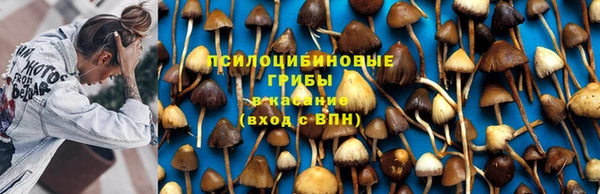 MDMA Premium VHQ Карпинск