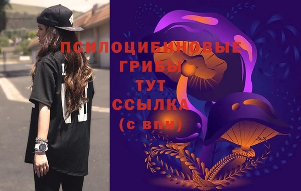 гашик Усмань