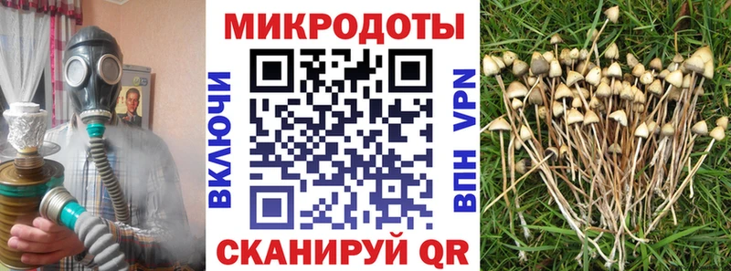 Галлюциногенные грибы Psilocybine cubensis  дарнет шоп  Щёлково 